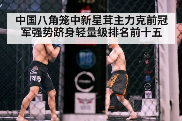 Chinese MMA athlete